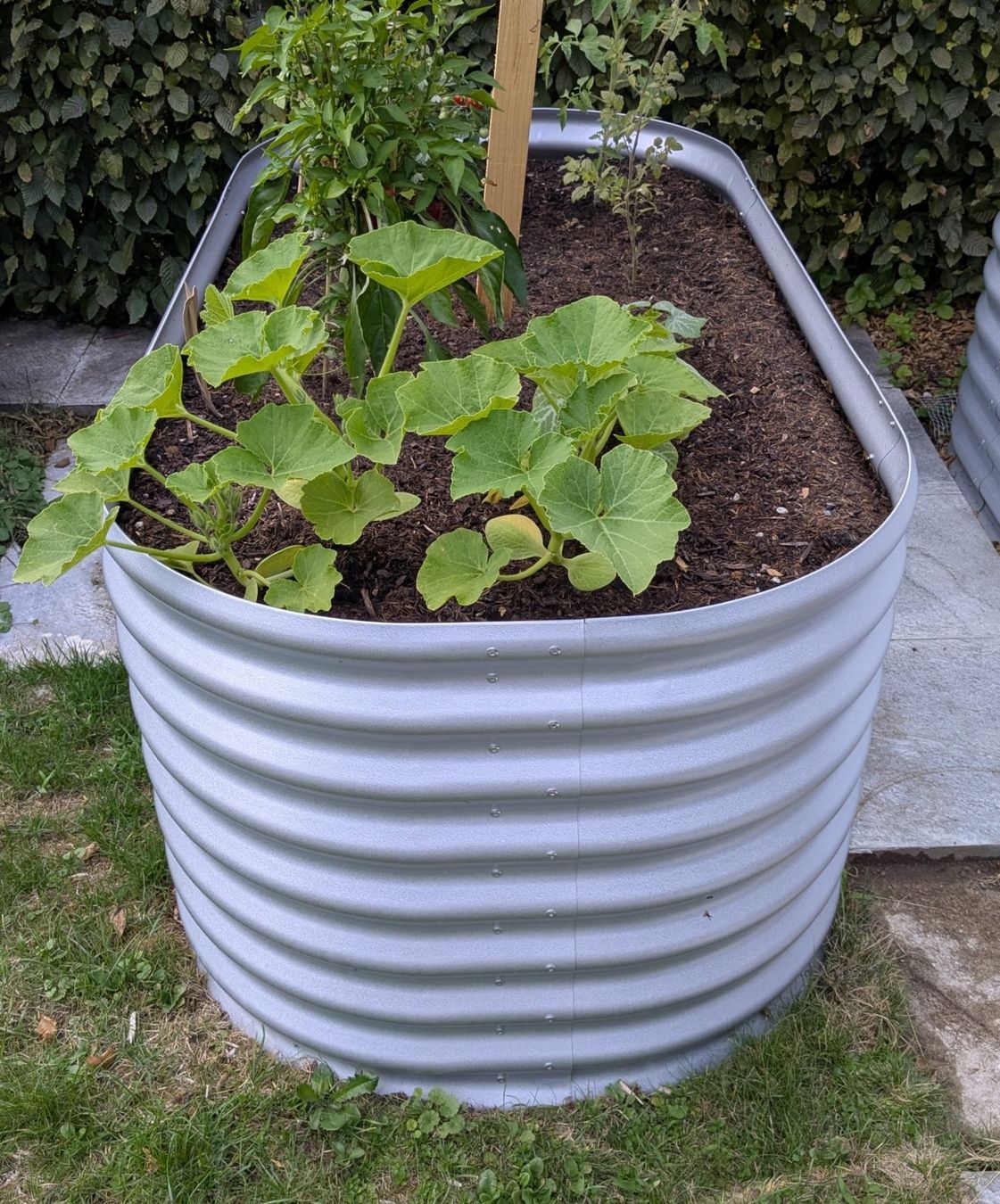 Pots de fleurs: Neues Hochbeet – Neuf (Voir description) à Bellikon par mic_s5gk