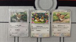 Pokemon Karten Set Evoli NM Jap und English 🙀⭐️