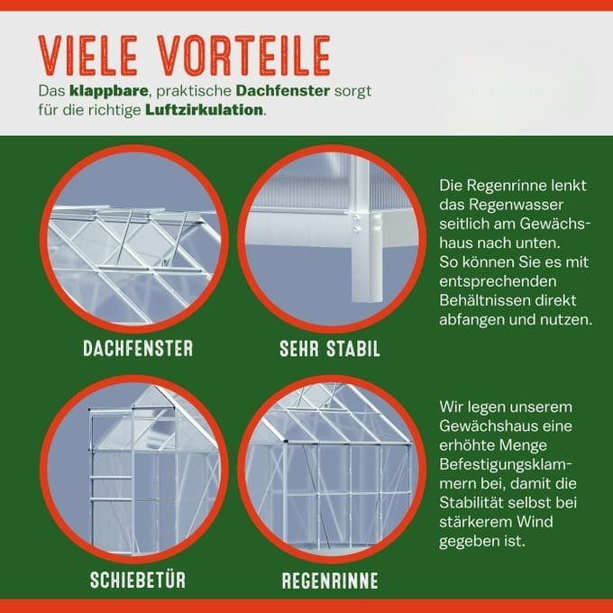 Treibhaus - 250x190x195cm mit Fundament 4