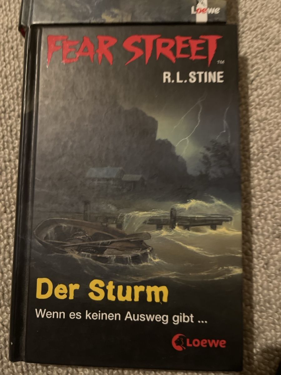 Libri: Fear Street, R.L. Stine 4 Bücher  – Usato da Solothurn venduto da Bobesch08 4