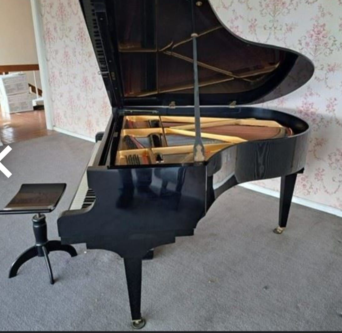 Musikinstrumente: Klavierflügel  – Gebraucht aus Belp von Grosieli 1