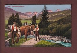 TOGGENBURG - Bauern - Kuh