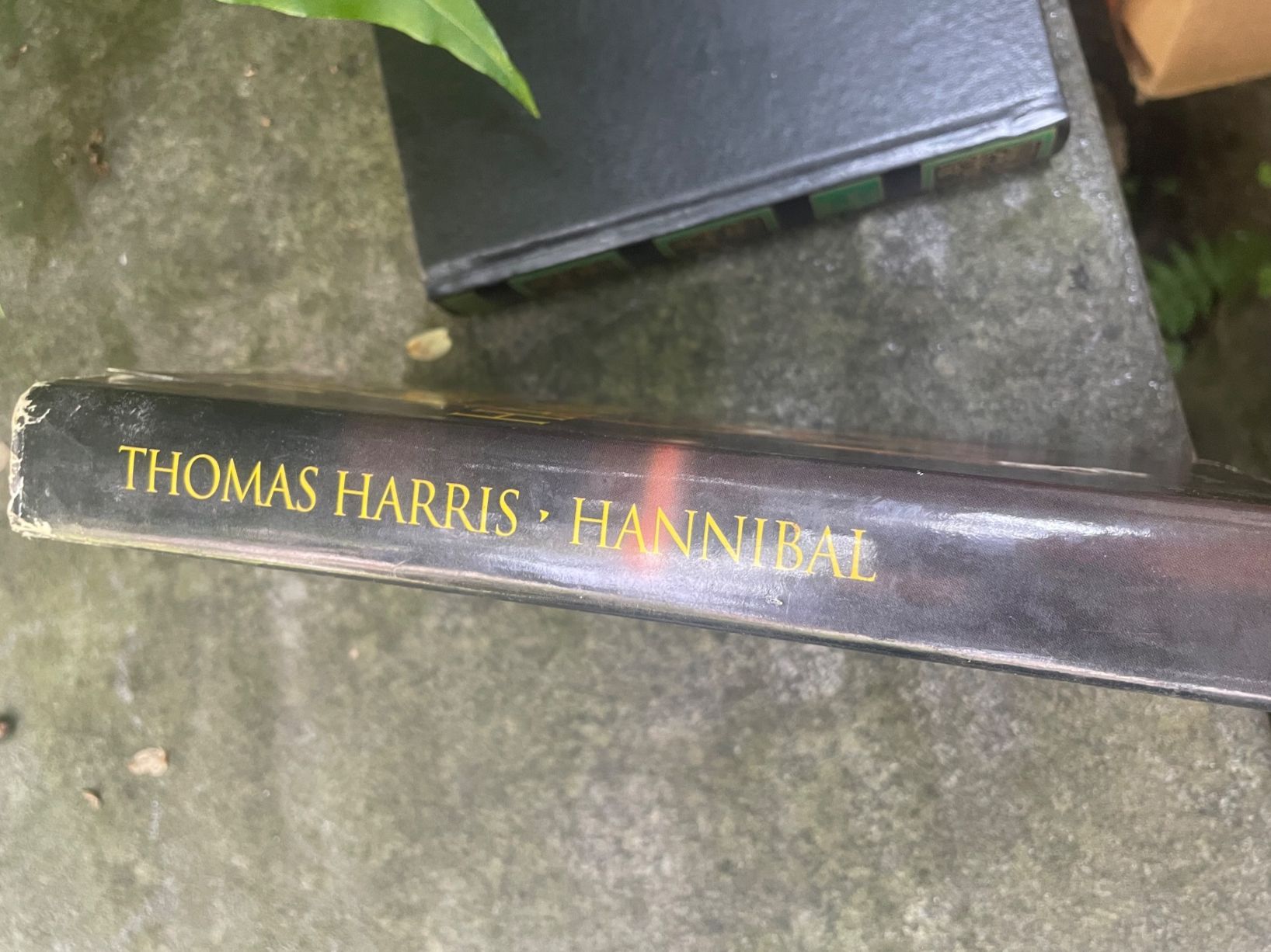 Libri: Hannibal - Thomas Harris - ita – Usato da Minusio venduto da Pink222 2