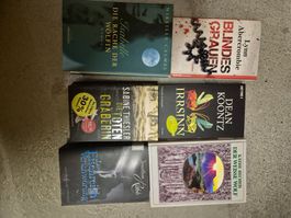 7 Thriller Romane / Taschenbücher - spannende Winterlektüre!