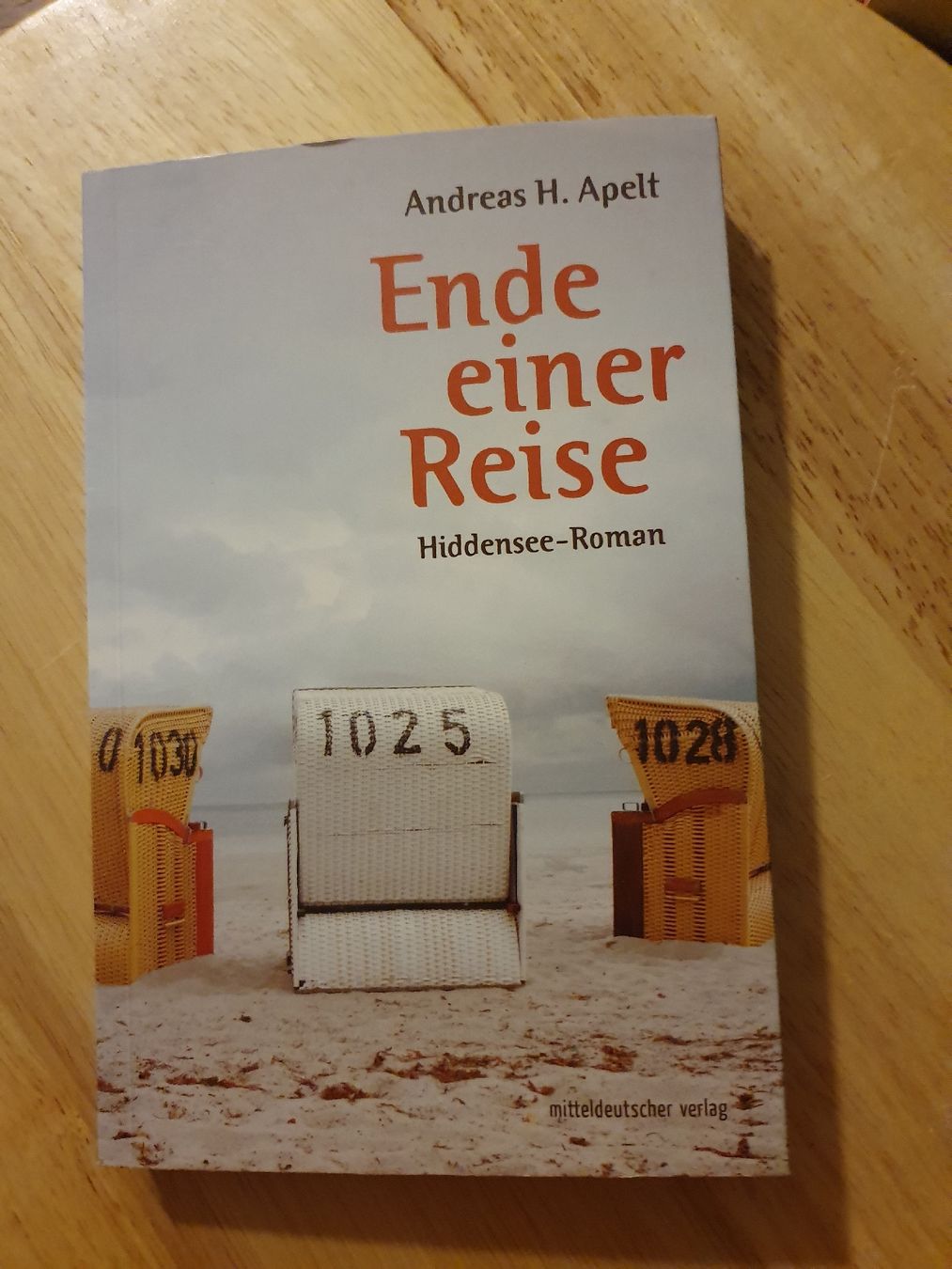 Libri: Roman "Ende einer Reise" von Andeeas H.Apelt – Usato da Bern venduto da SwissBeautyQueen
