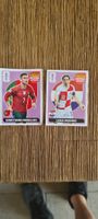 EXTRA PANINI RONALDO/MODRIC PINK