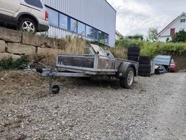 Auto Anhänger