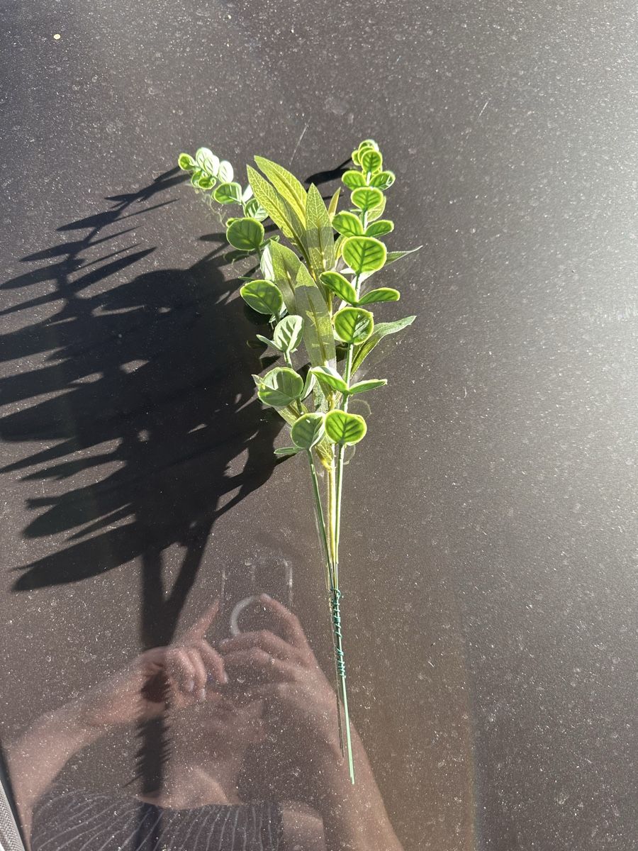 Alle Dekorationen: 20 compositions plantes – Gebraucht aus Alle von gae_m229