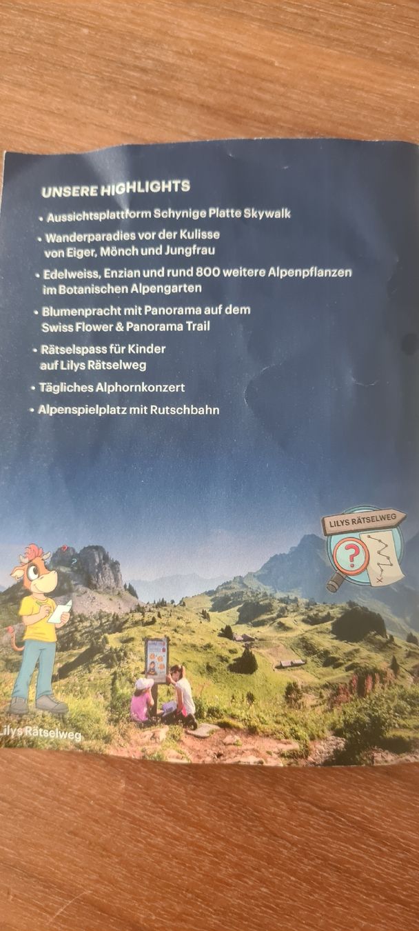 Buoni: Schynige Platte Flyer mit 30% Rabatt  – Nuovo (secondo la descrizione) da Bern venduto da ocraM82 2
