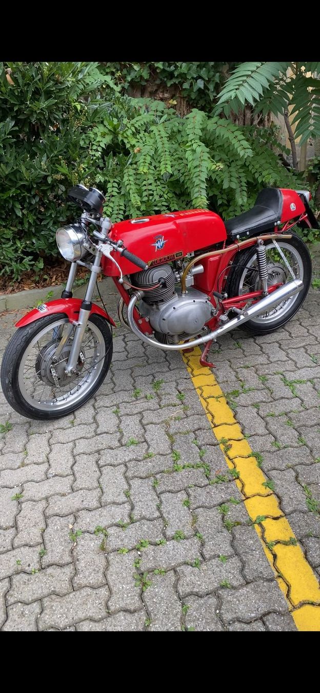 Strada: MV Agusta 250 B sport – Usato da Biel/Bienne venduto da mot_5zqd 5