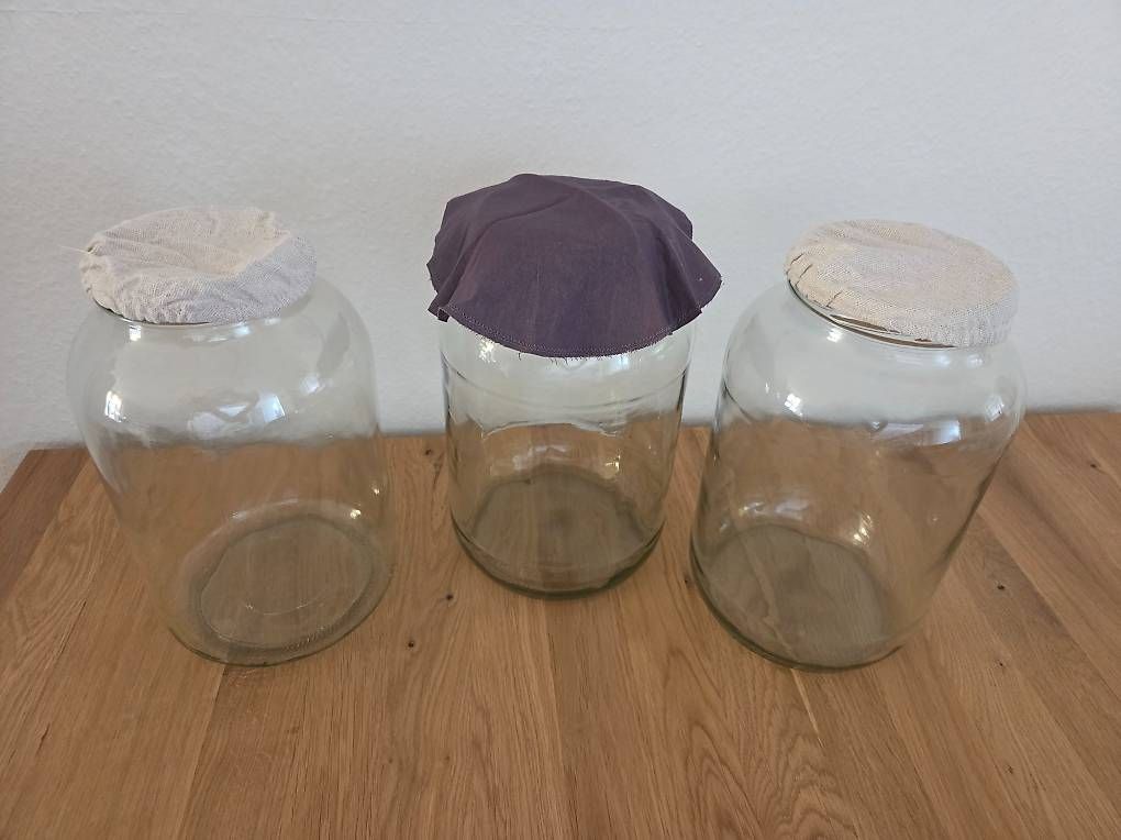 Contenitori & Simili: 3x Einmachgläser 2650ml mit Deckel – Usato da Baden venduto da TA2222 3