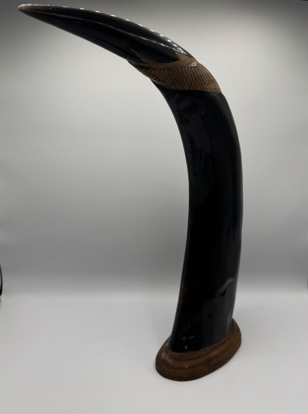 Alle Dekorationen: Horn – Gebraucht aus Sachseln von BONATI01 2
