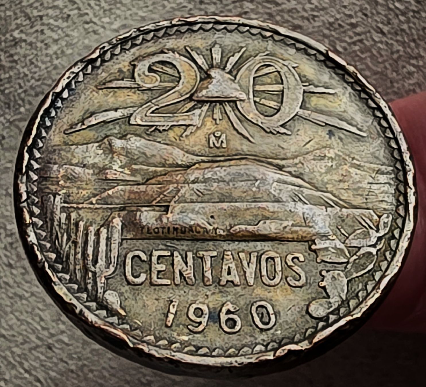 Tutti le monete: MEXICO 20 CENTAVOS 1960 – Usato da winterthur venduto da CoinPassion