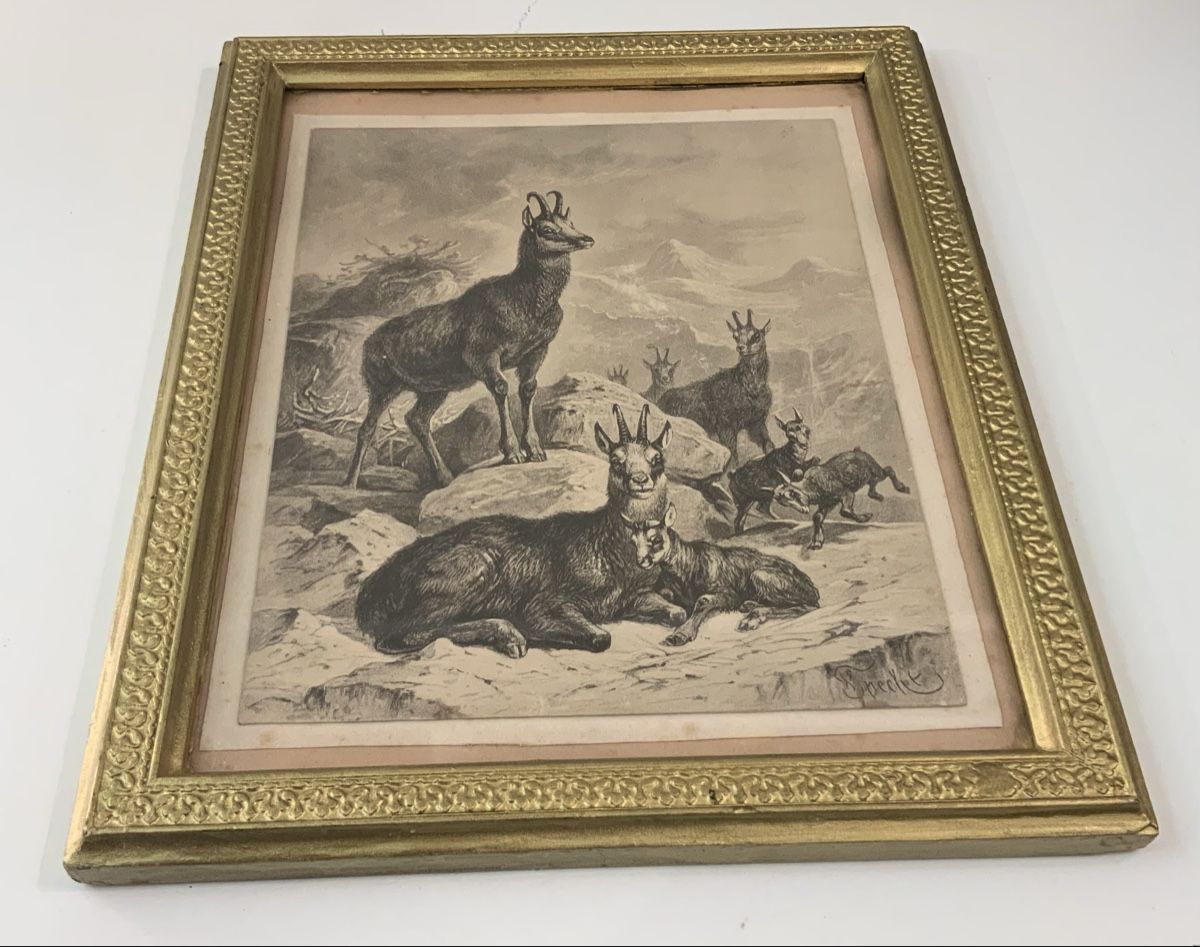 Gemälde: Tableau avec chamois signé Frédéric Specht – Gebraucht aus rolle von Tontonjulot 2