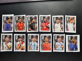 12 Coca-Cola Panini FIFA WM 2026 Sticker komplett