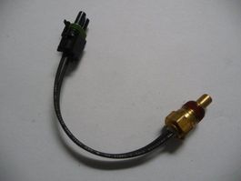 Renault Temperaturfühler / Temperatursensor 89 33 002 383