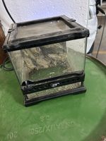 Terrarium Eko Terra 20x20x22 cm avec grille usagé