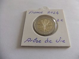 France 2 Euro 2024 Arbre de Vie