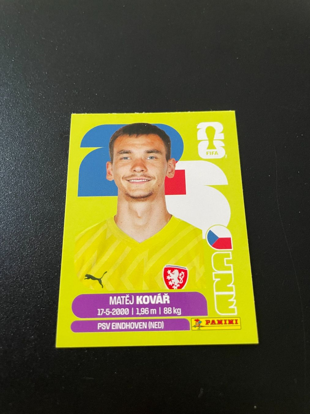 Panini Carte collezionabili: FIFA WM 2026 Sticker CZE 2 – Usato da Fahrwangen venduto da Venez