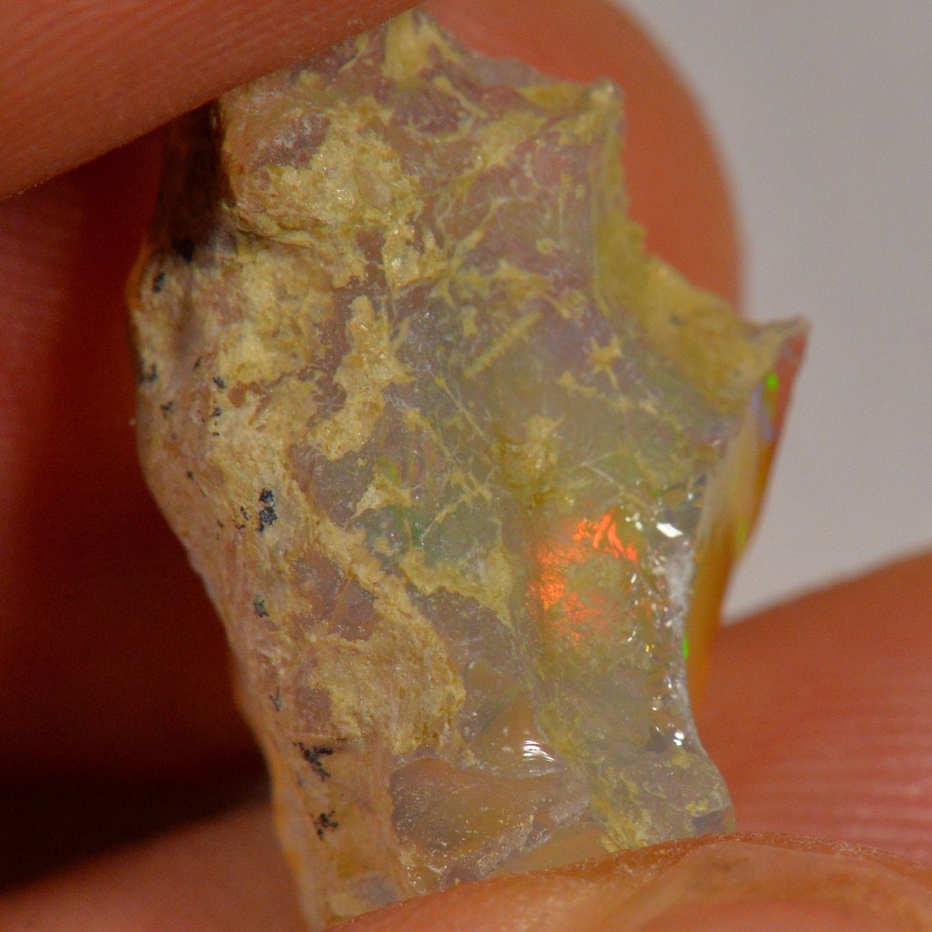 Pietre preziose: 10.8 Karat - Roher Äthiopischer Welo Opal – Nuovo (secondo la descrizione) da Rüti ZH venduto da DeinOpal 1
