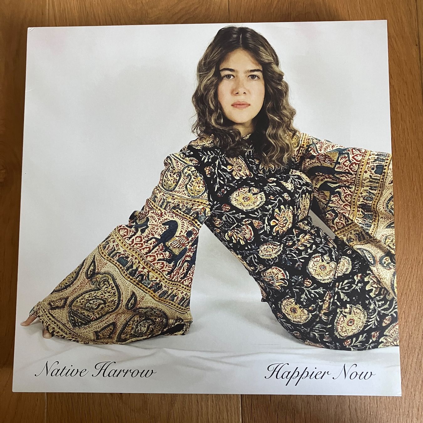 Dischi in vinile: Native Harrow – Happier Now – Usato da Altdorf UR venduto da Metallic0