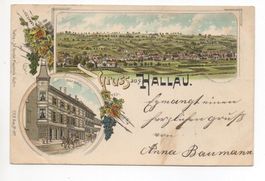 LITHO Gruss aus HALLAU Hotel Falken 1898