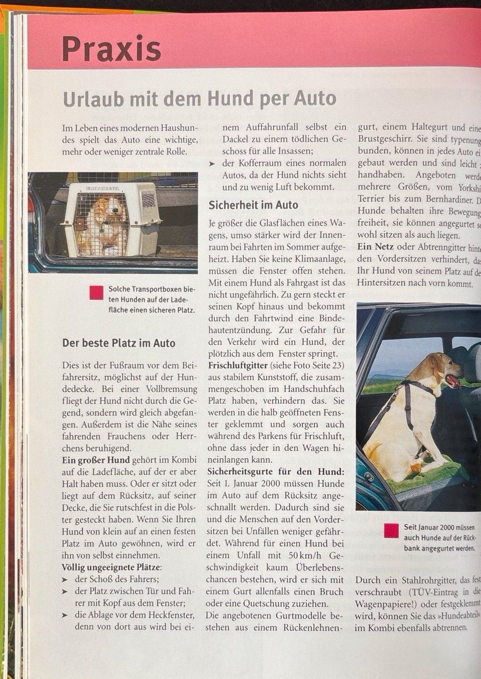 Libri: Hunde – Nuovo (secondo la descrizione) da Sarnen venduto da Livres 5