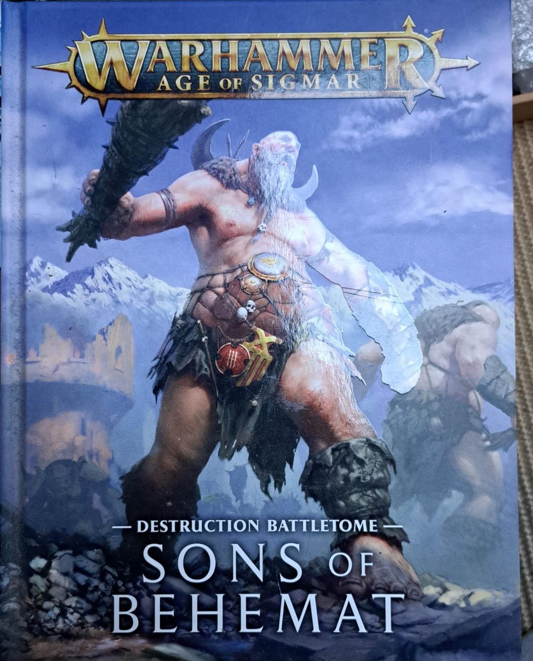 Libri: Codex Warhammer Age of Sigmar 2ème édition FR – Usato da Cointrin venduto da ant_ll7g 1