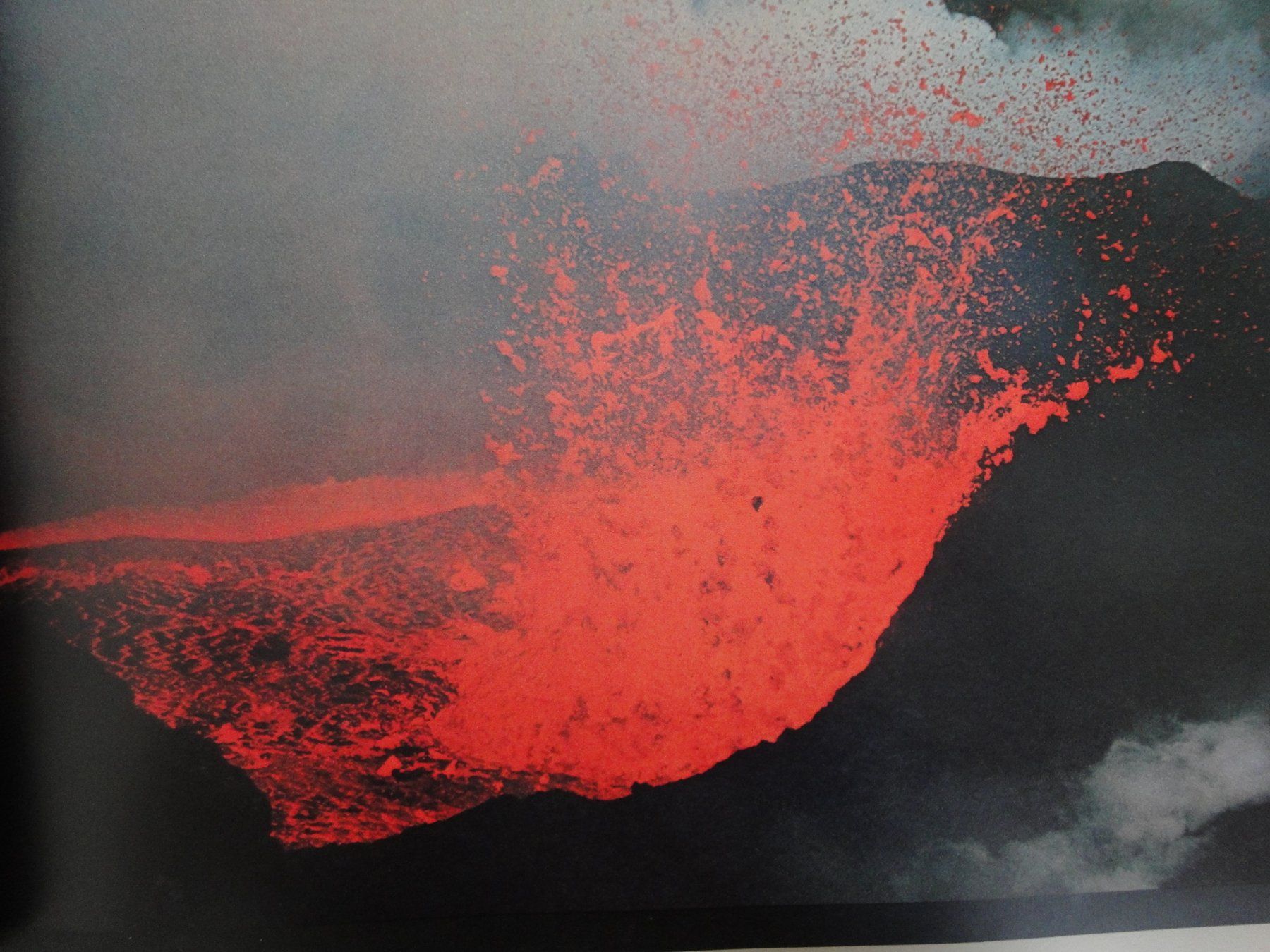 Bücher: Die Schöpfung - Ernst Haas – Neu (gemäss Beschreibung) aus Biel/Bienne von 07helios032 4