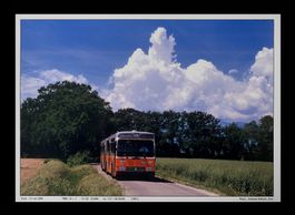Soral Genève Bus TPG FBW R&J 91GS Nr.135 Foto Ausdruck A4