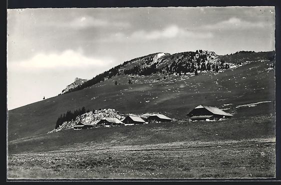 Ansichtskarten: AK Erlenbach im Simmental, Rinderalp – Gebraucht aus Berlin von bartko-reher