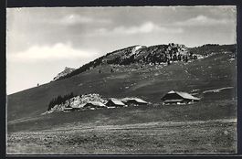 AK Erlenbach im Simmental, Rinderalp