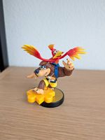 Rare Amiibo - Banjo & Kazooie