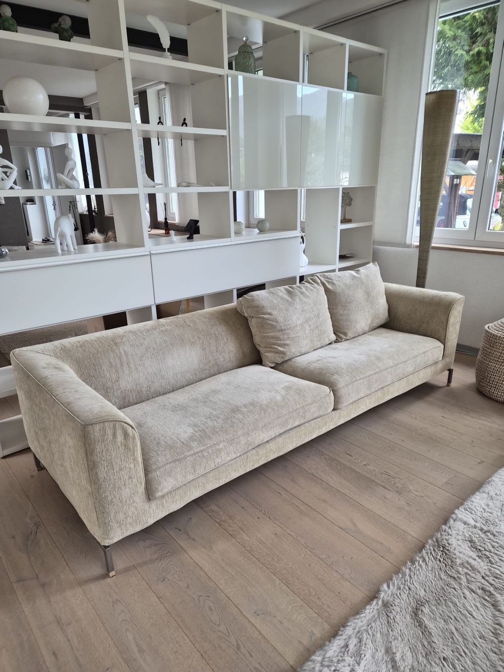 Sofas: Felicerossi Midi – Gebraucht aus Oberdorf BL von Pepsi05 1