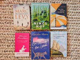 6 gebundene Romane Jojo Moyes, Marc Levy, Ch. Avel, u.a.