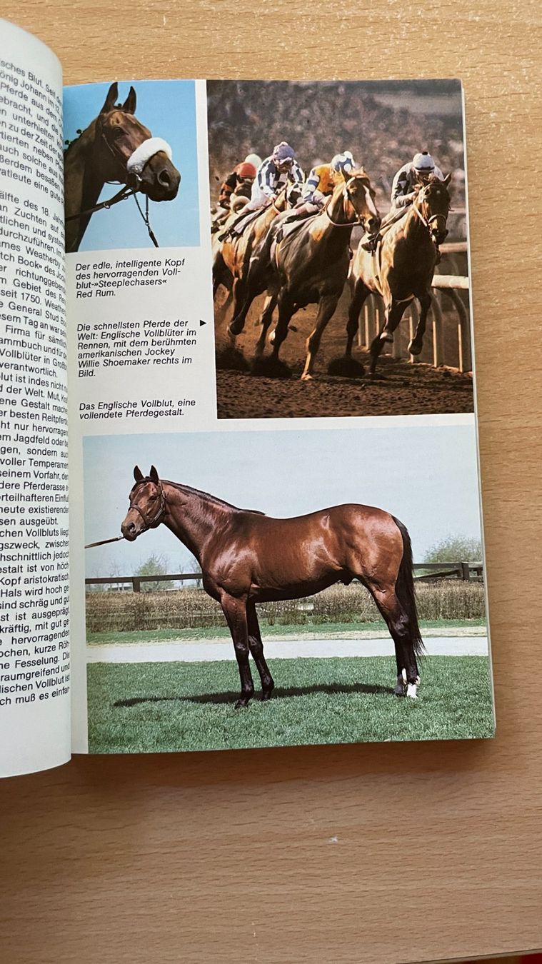 Libri: Pferde und Ponys – Usato da Glattfelden venduto da markweb 4
