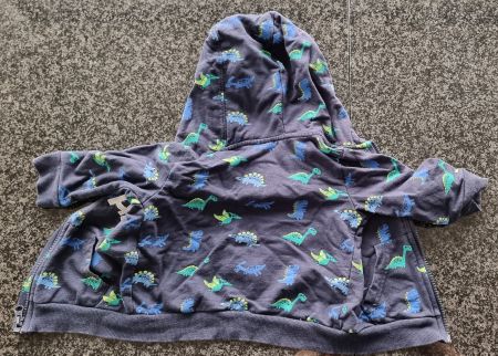 Topomini Dino-Hoodie, Grösse 80, Top Zustand!