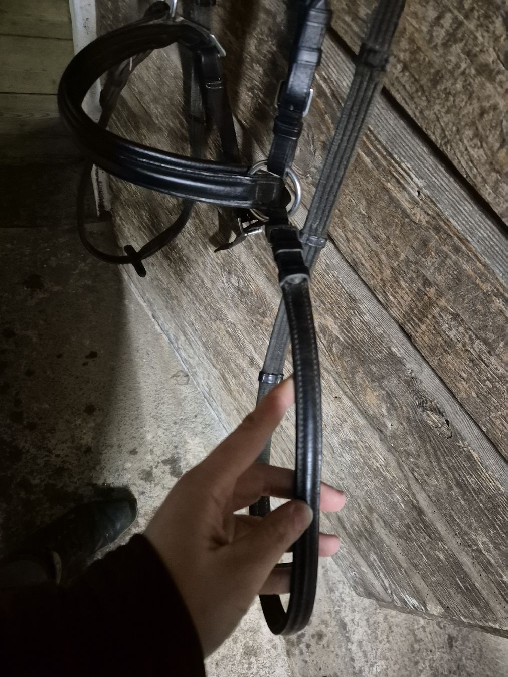 Brides, licols: Sidepull Cob - Full – D'occasion à Meggen par Orrinka20 2