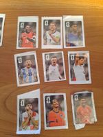 Diverse Panini Cola Stickers