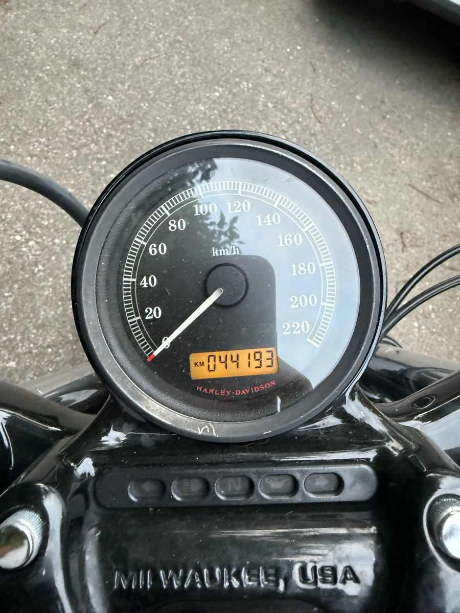 Harley-Davidson Cruisers: Harley davidson forty eight 35KW  – Défectueux à Uster par fra_yp6p 1