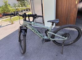 E-Bike Focus Thron E-MTB vollgefedert guter Zustand