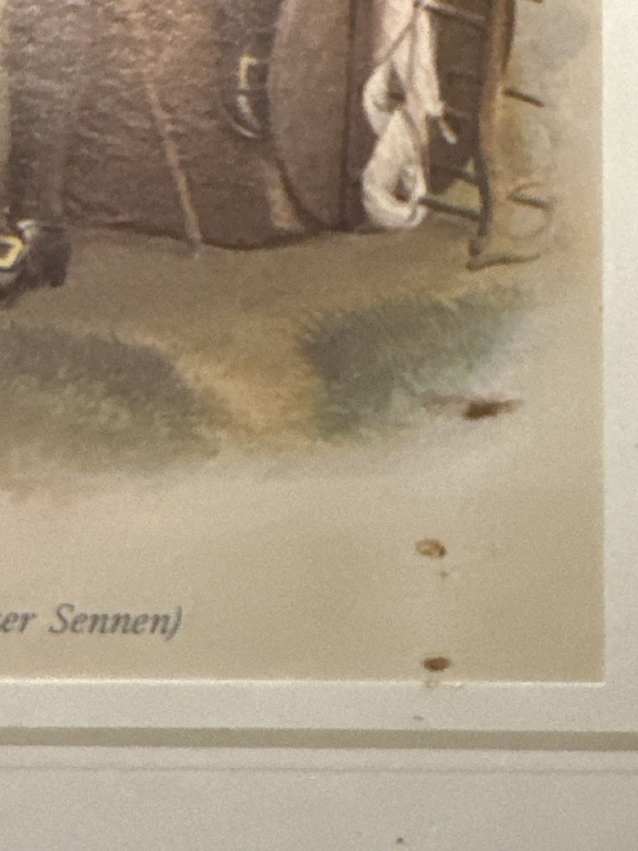 Poster & Bilder: Original Schweizer Trachtenbilder, 5 Stk. – Gebraucht aus Zürich von Chaeffeler 6