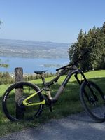 HAIBIKE LYKE CF 11 CARBON  L– NUR 160 KM 