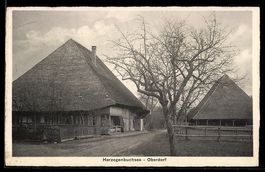 AK Herzogenbuchsee, Oberdorf