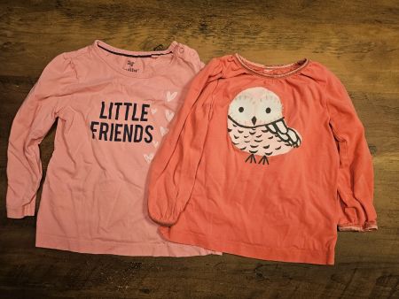 2 langarm Shirts Mädchen Gr. 86/92
