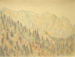 Zeichnung: Berg-Wald