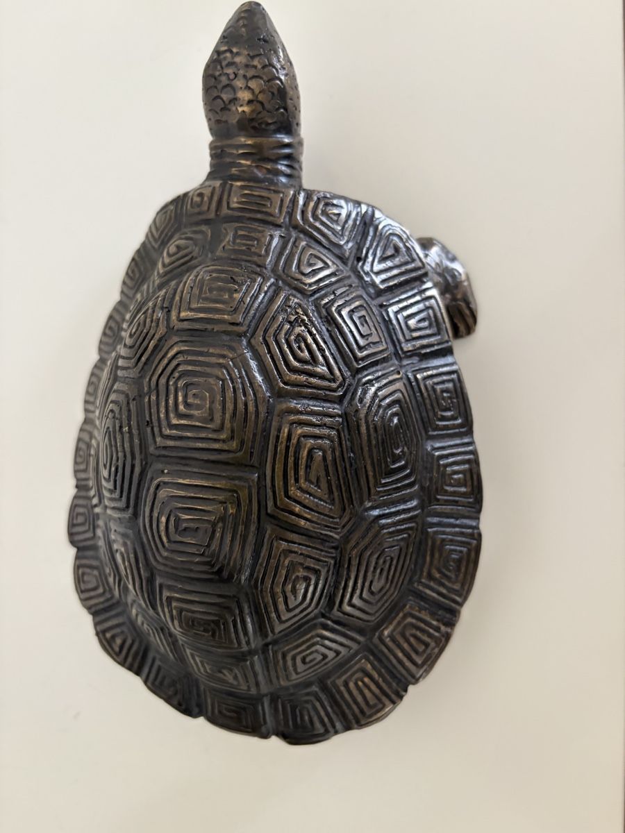 Sculture & Statue: Bronze, Schildkröte detailliert – Nuovo (secondo la descrizione) da Zürich venduto da eileenchen1 2