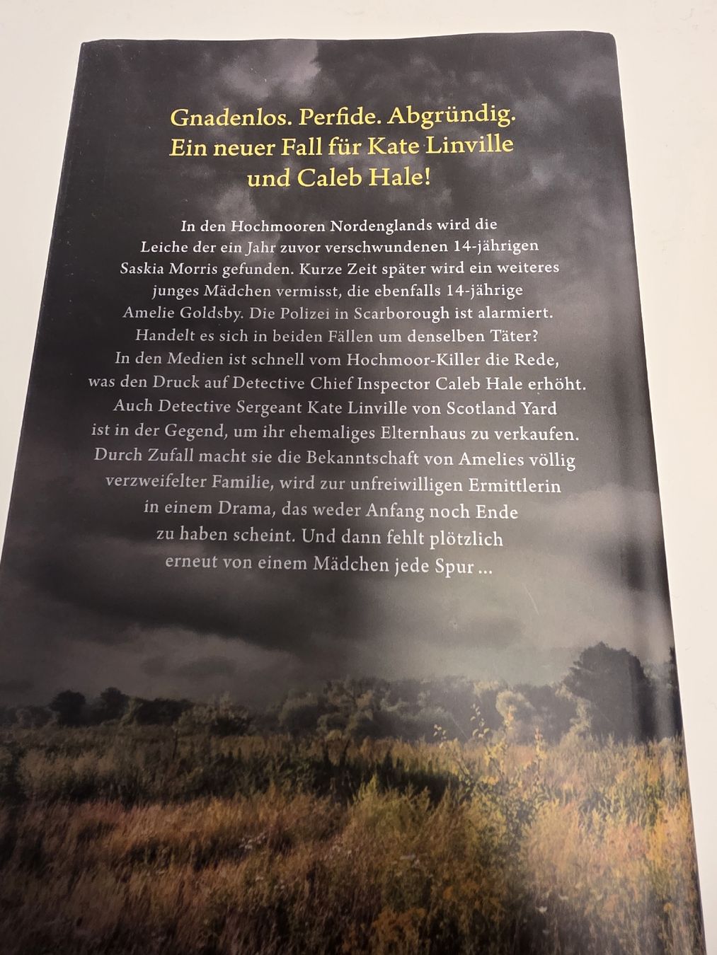Libri: Die Suche von Charlotte Link – Usato da Madiswil venduto da Sandraho 1