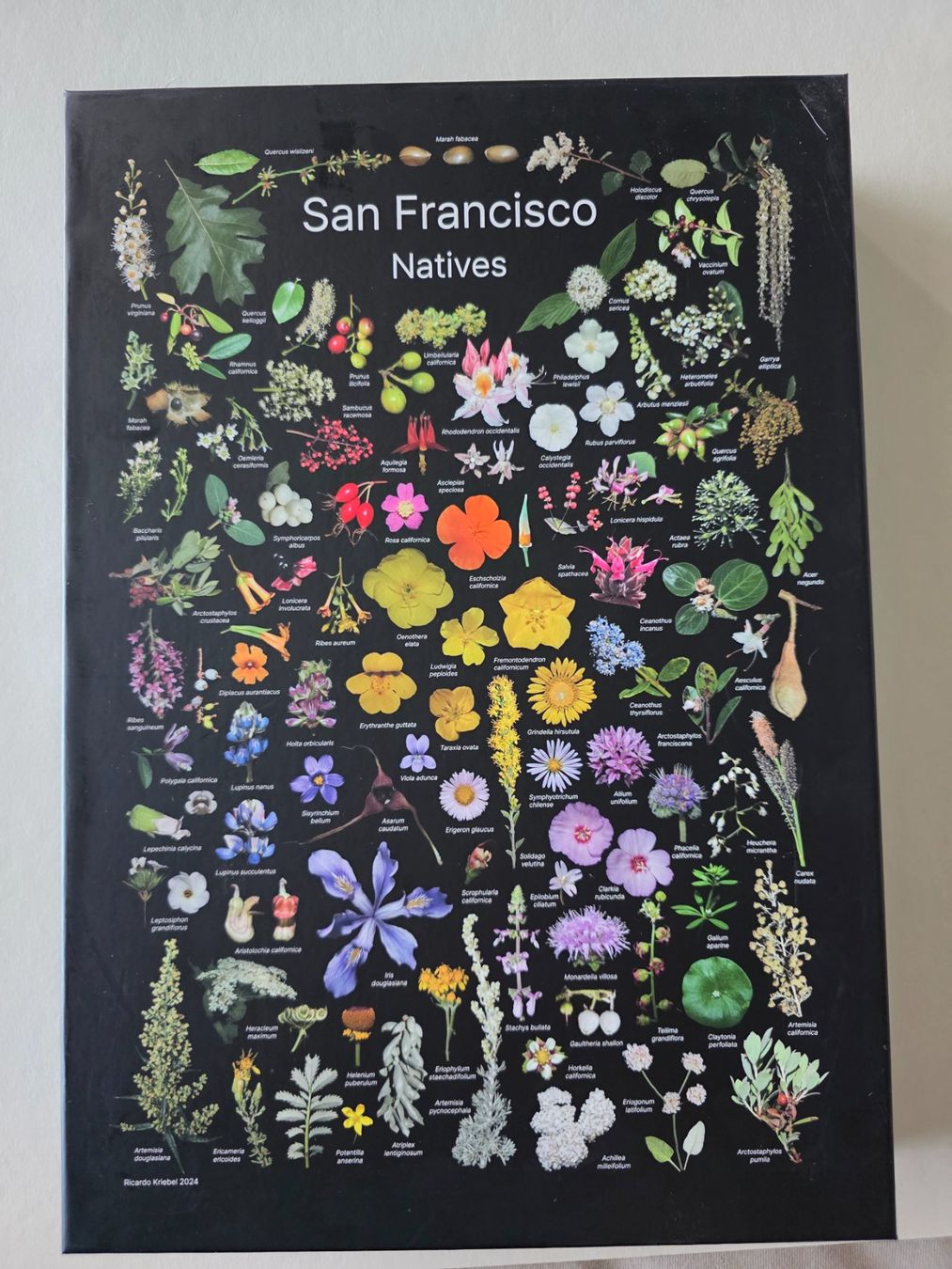Puzzle: 500 Teile Puzzle - Pflanzen – Usato da Altstätten SG venduto da Carrybones