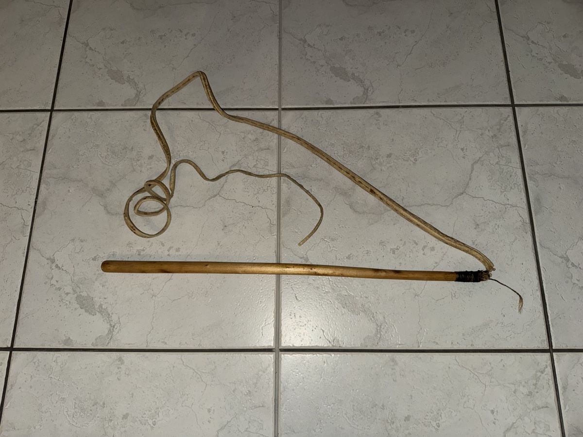 Altro in Accessori per animali: Alte Peitsche aus Leder – Difettoso da Gossau ZH venduto da Shaolin 1